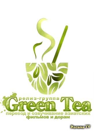 Переводчик Green Tea 28.06.17
