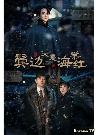 дорама Зимняя бегония (Winter Begonia: Bin Bian Bu Shi Hai Tang Hong) 13.03.20