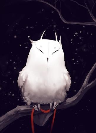 Переводчик FSG OWL FAMILY 17.12.22