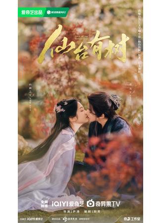 дорама Божественное дерево (Love of the Divine Tree: Xian Tai You Shu) 04.05.24